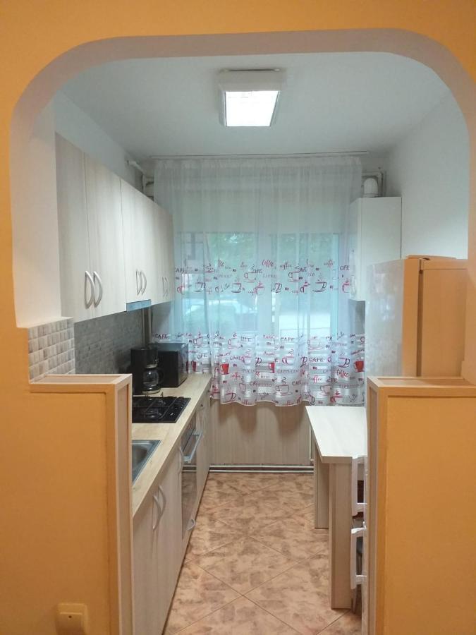 Muntean Residence Сибиу Экстерьер фото
